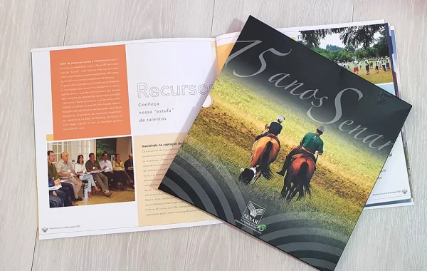 Relatorios-instituciaonais-rogerio-nolasco-site